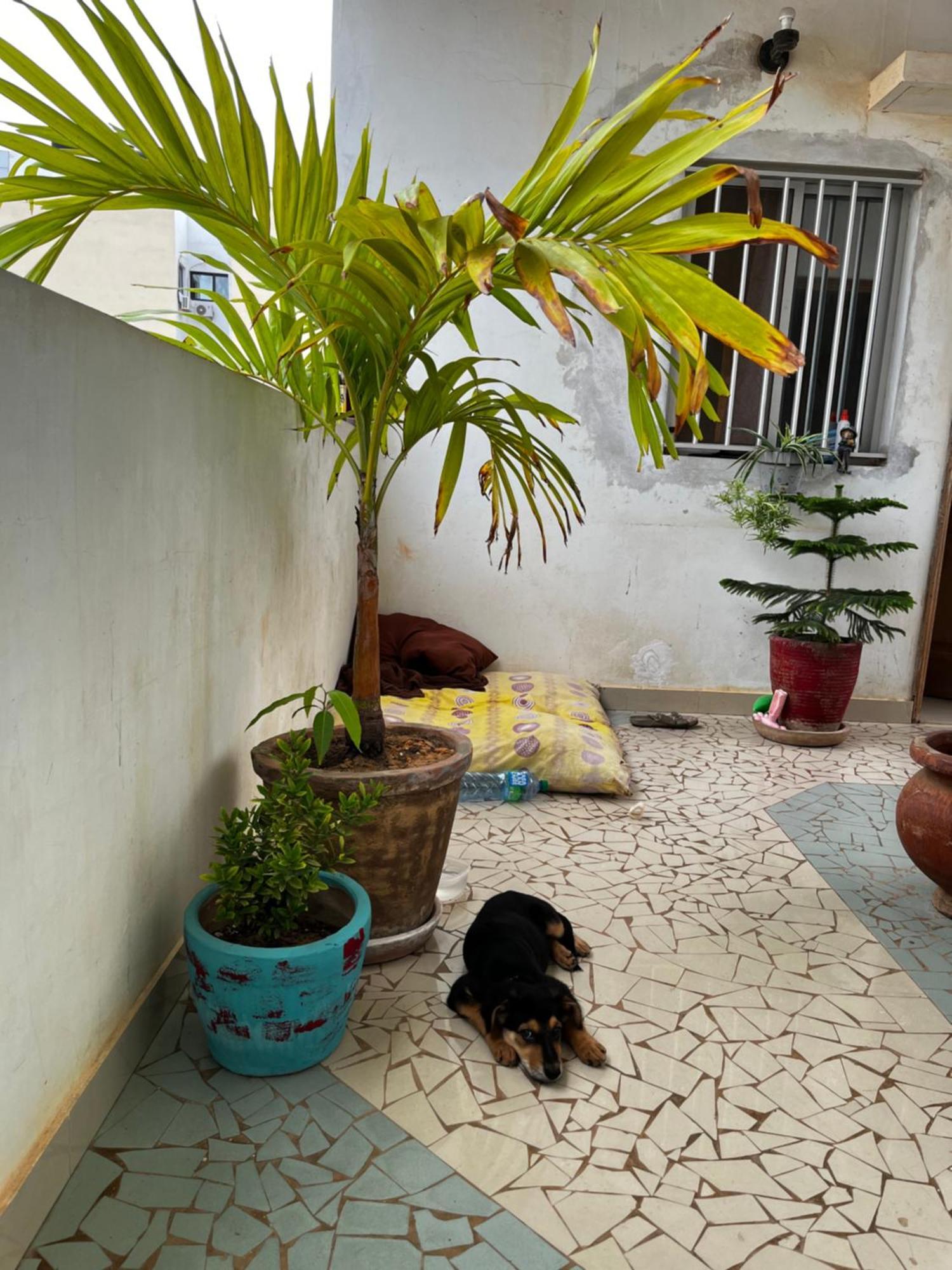 Like At Home Dakar Luaran gambar